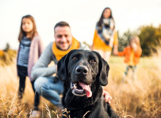 Dog Bite Prevention Week: Teaching Your Child Pet Safety