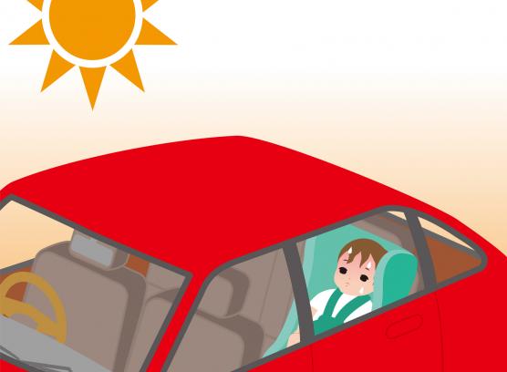 Look Before You Lock: Preventing Pediatric Vehicular Heatstroke Deaths