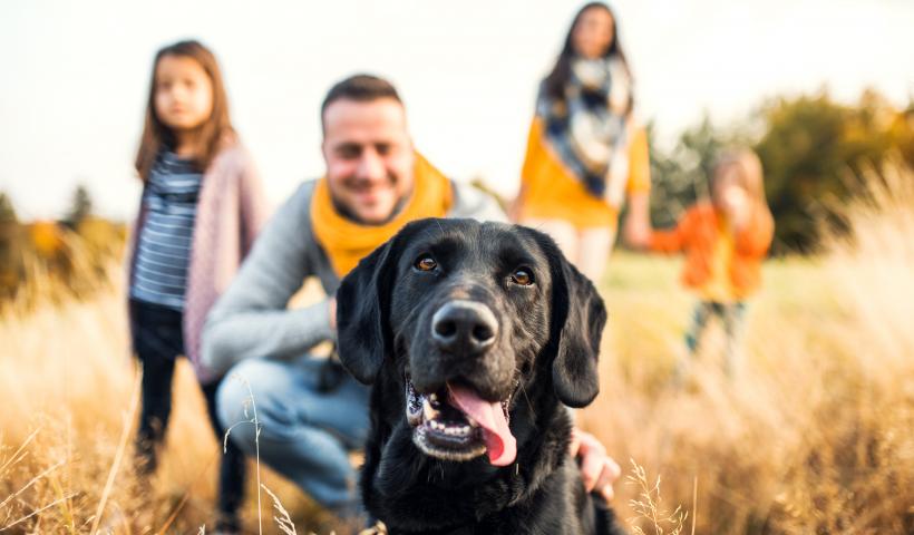 Dog Bite Prevention Week: Teaching Your Child Pet Safety