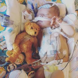 Newborn with medical equipment and teddy bear