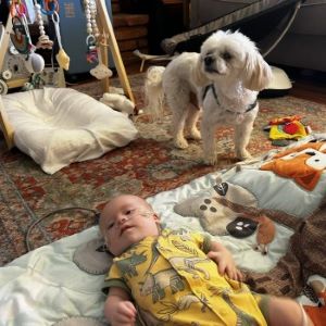 Infant laying on living room floor with dog in background