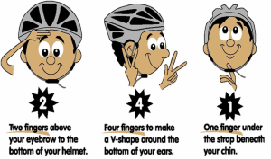 Bike Helmet Fitting Graphic 241 Rule