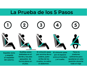 Booster Seat Poster (Spanish)