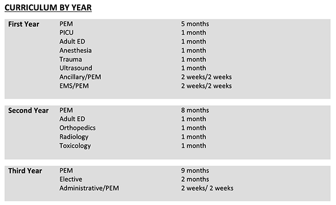 Curriculum by year