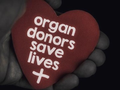 Heart in hand, organ donors