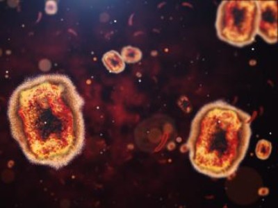Closeup of monkeypox cells