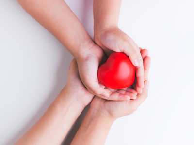 Hands holding heart toy