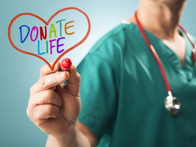 Heart drawn with Donate Life inside
