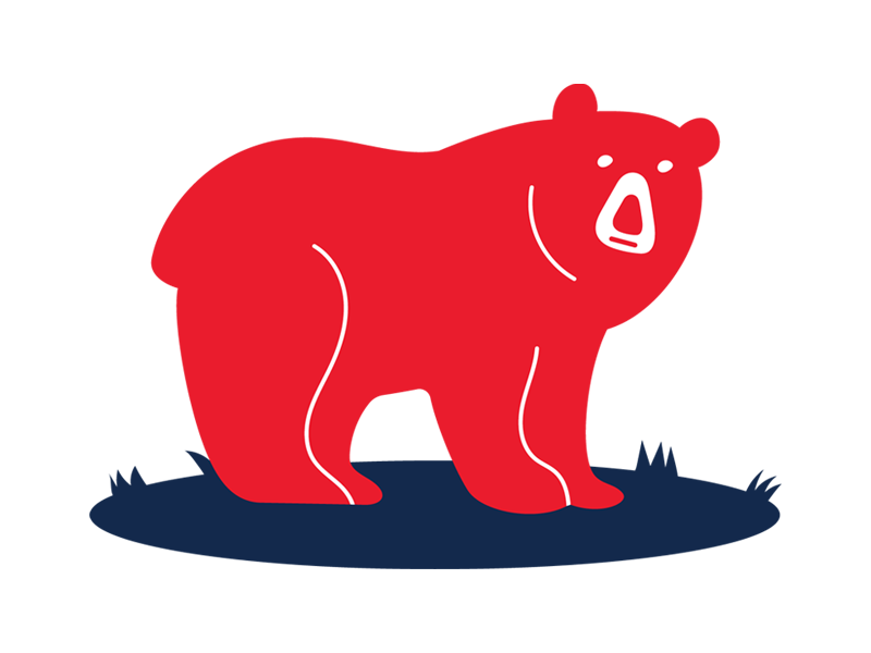 Bear illustration