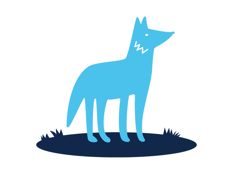Coyote illustration