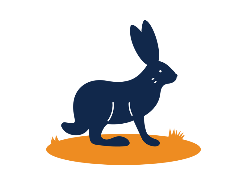 Jackrabbit illustration