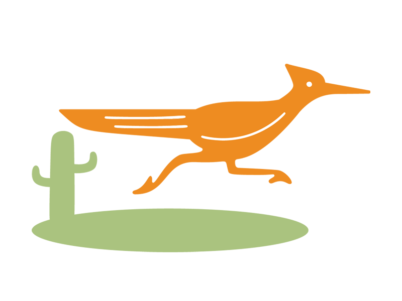 Roadrunner illustration
