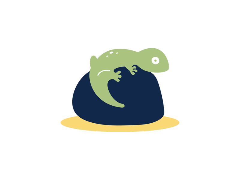 Gecko illustration