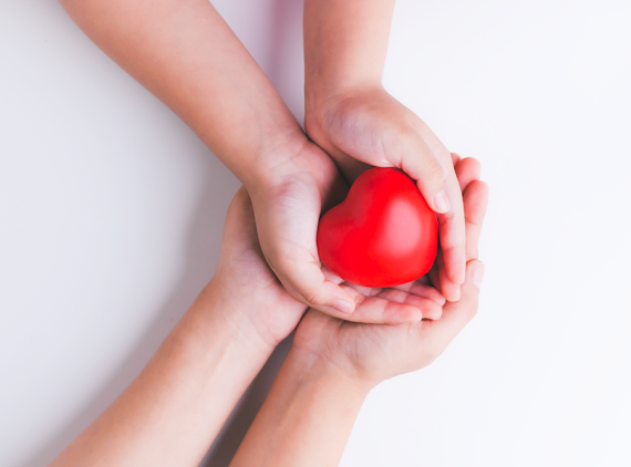 Hands holding heart toy