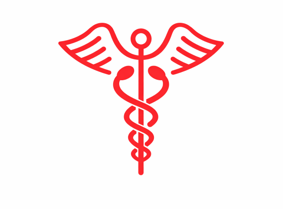Caduceus (two snakes + wings)