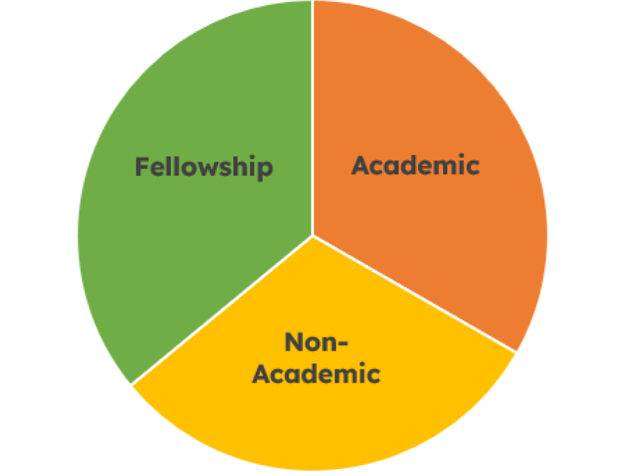 Pediatric Critical Care Medicine Fellowship - Program Description and Goals - Pie Chart