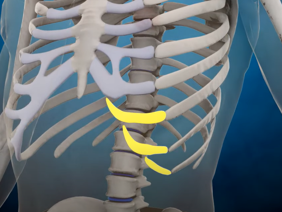 Slipping rib treatment video