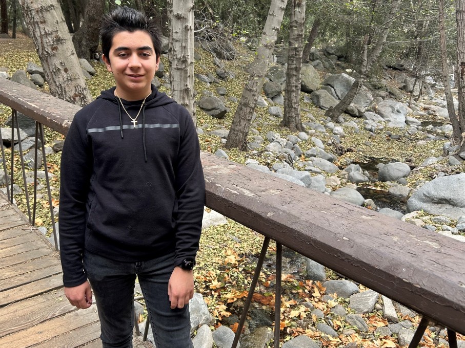 Teen boy smiling on bridge in woods