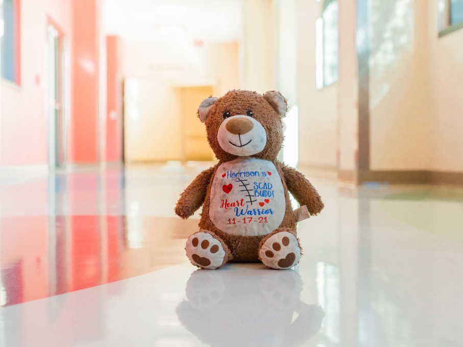 Cardiac teddy bear