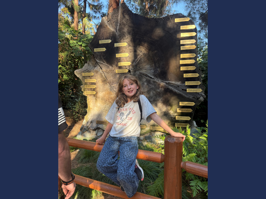 Girl sitting on fence