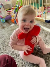 Smiling toddler sitting on floor hugging stuffed Elmo doll