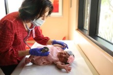 Masked doctor examining infant in pink