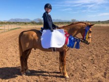 Girl on horse with show ribbons