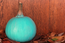 Teal pumpkin