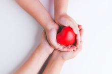 Hands holding heart toy